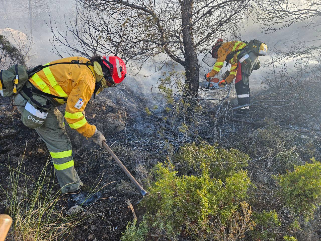 Labores de extinción del fuego.