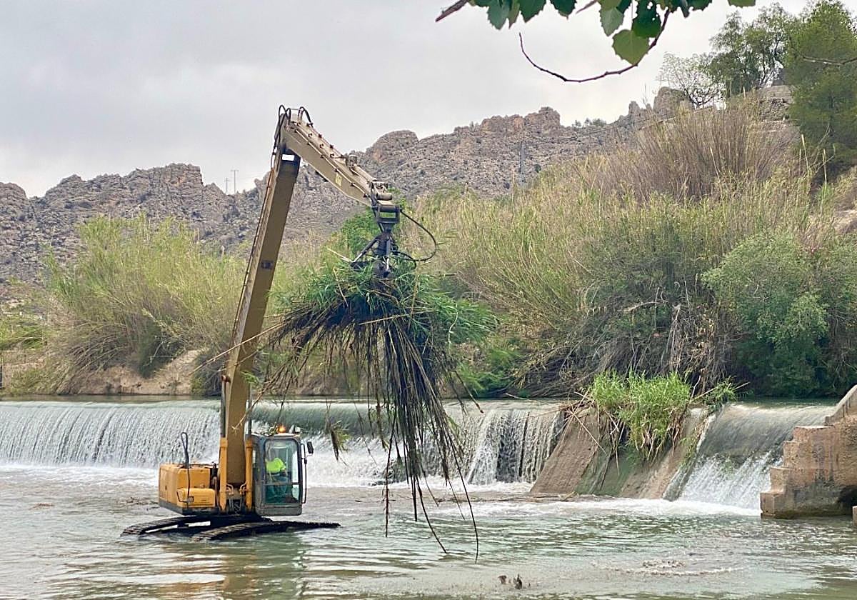 Una grúa retira, ayer, cañas acumuladas en la presa de El Jarral, en Abarán.