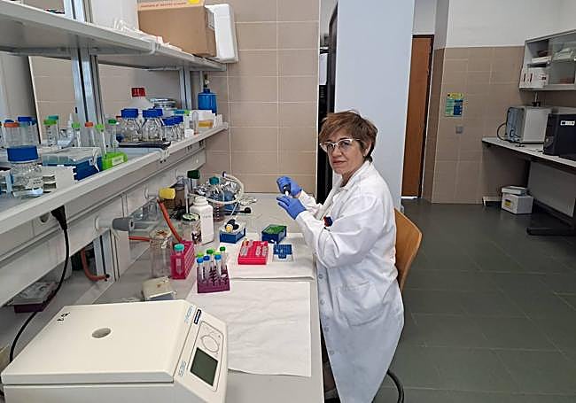 Isabel Martínez Argudo, en el laboratorio.