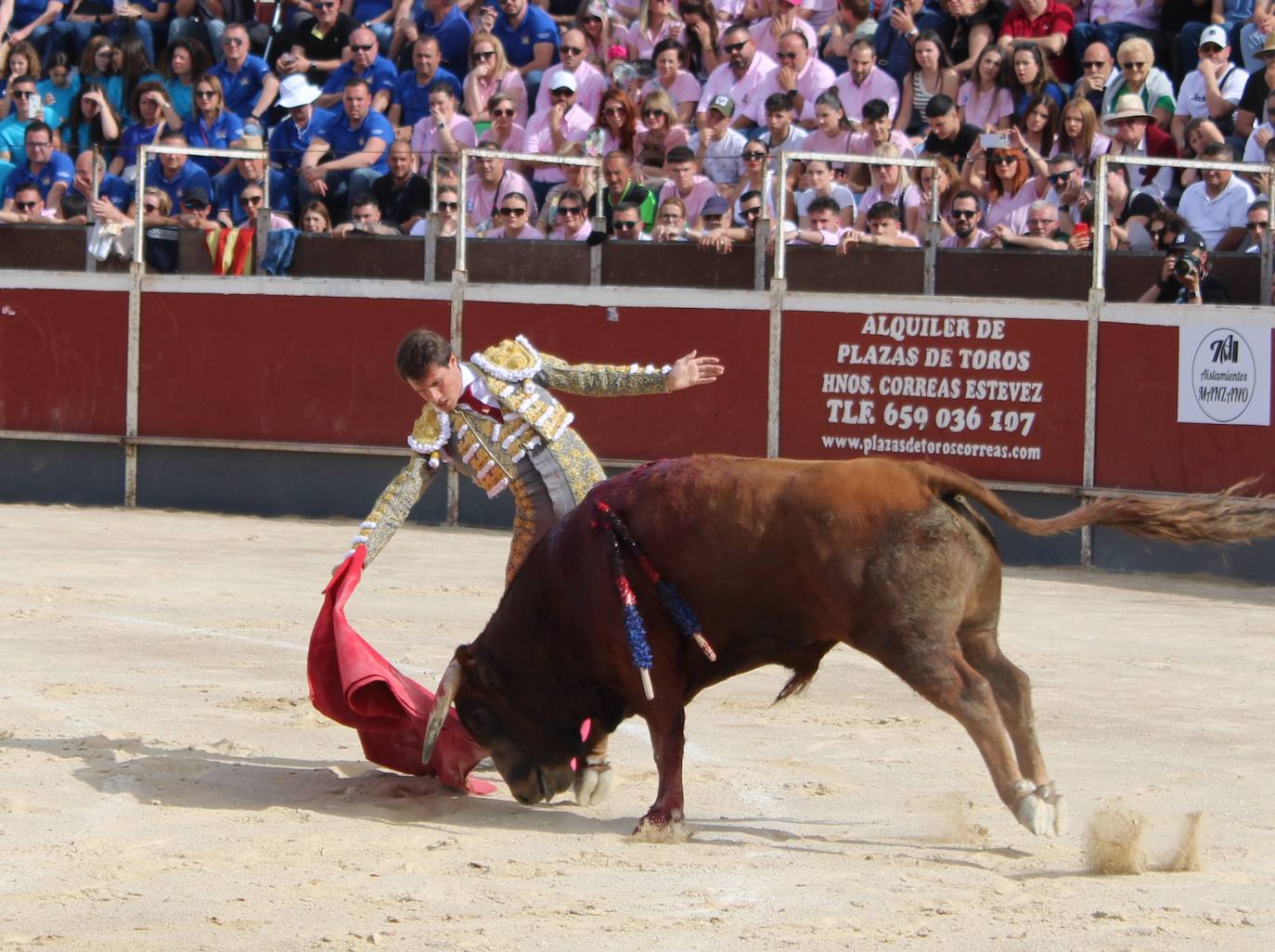 El regreso de los toros a Alcantarilla, en imágenes