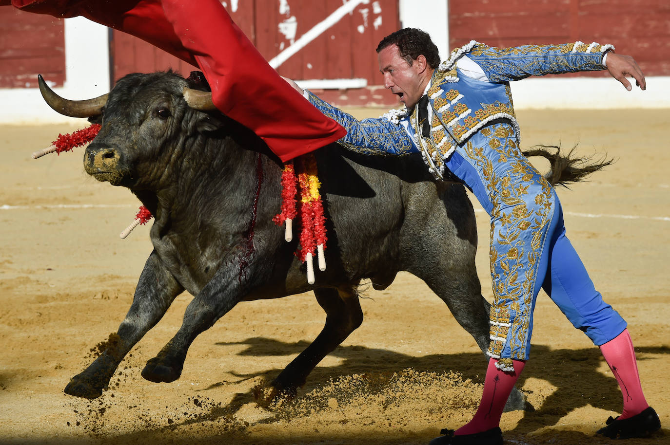 Las imágenes de la corrida de toros en Yecla