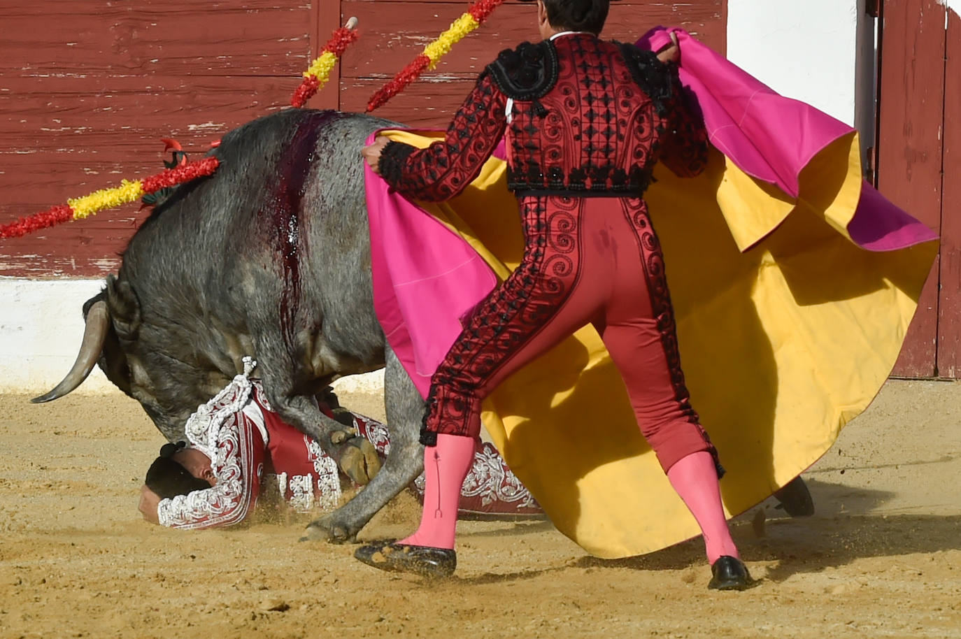 Las imágenes de la corrida de toros en Yecla