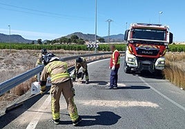 Los bomberos limpian la calzada, este miércoles.