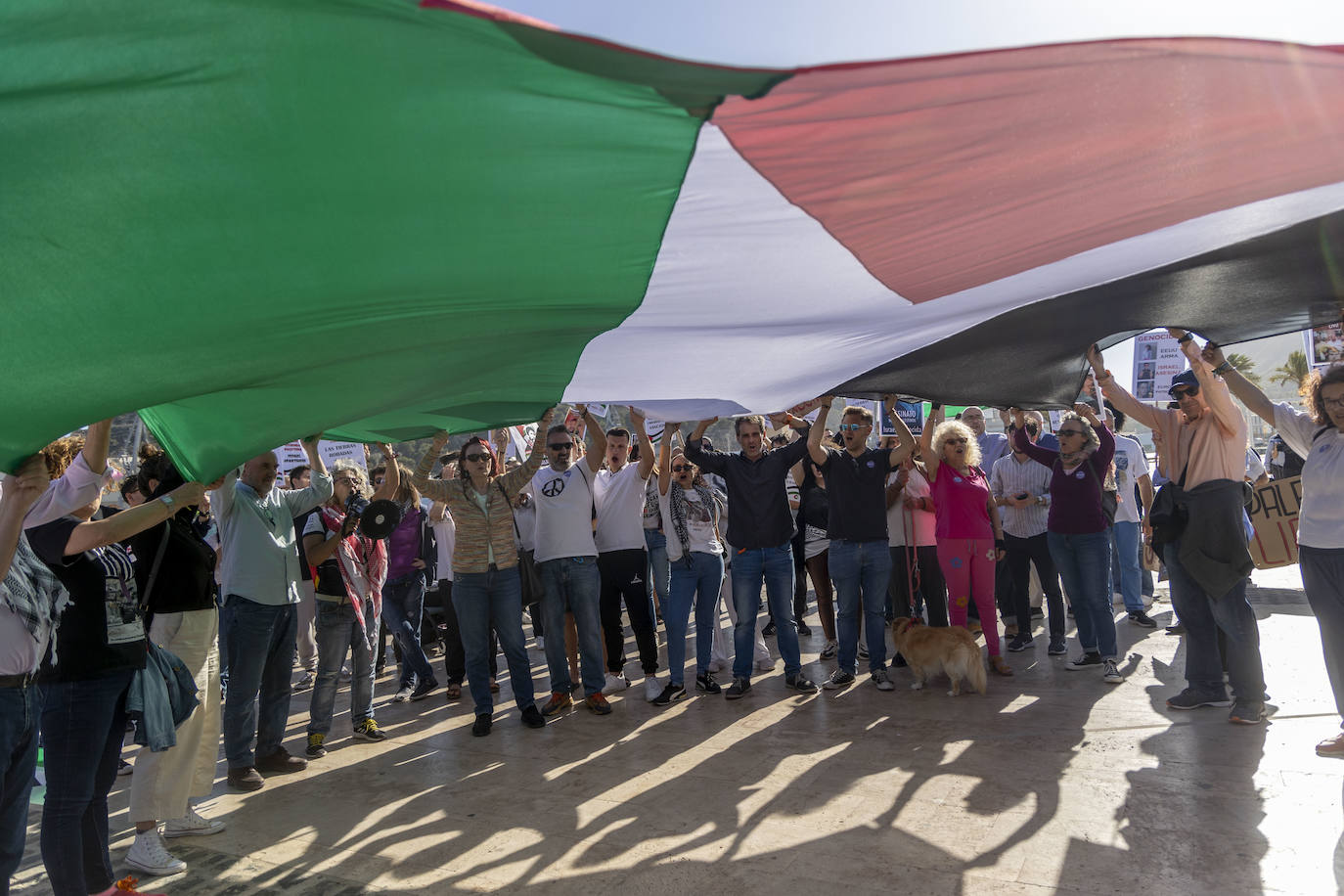 En imágenes, la protesta contra la escala del barco &#039;Borkum&#039; en Cartagena