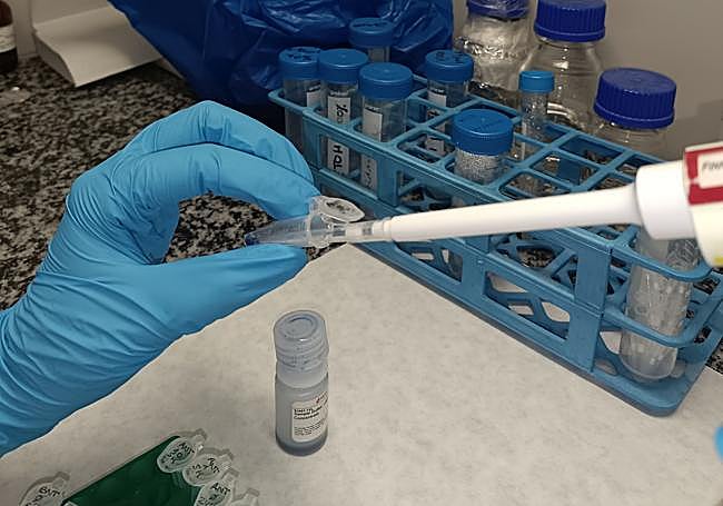 Tratamiento de muestras en el proyecto.