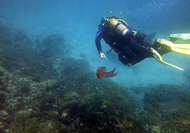 Un turista practica buceo en Cabo de Palos en una imagen de archivo.