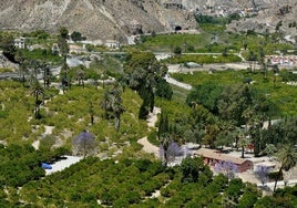 El paraíso cítrico del Valle de Ricote