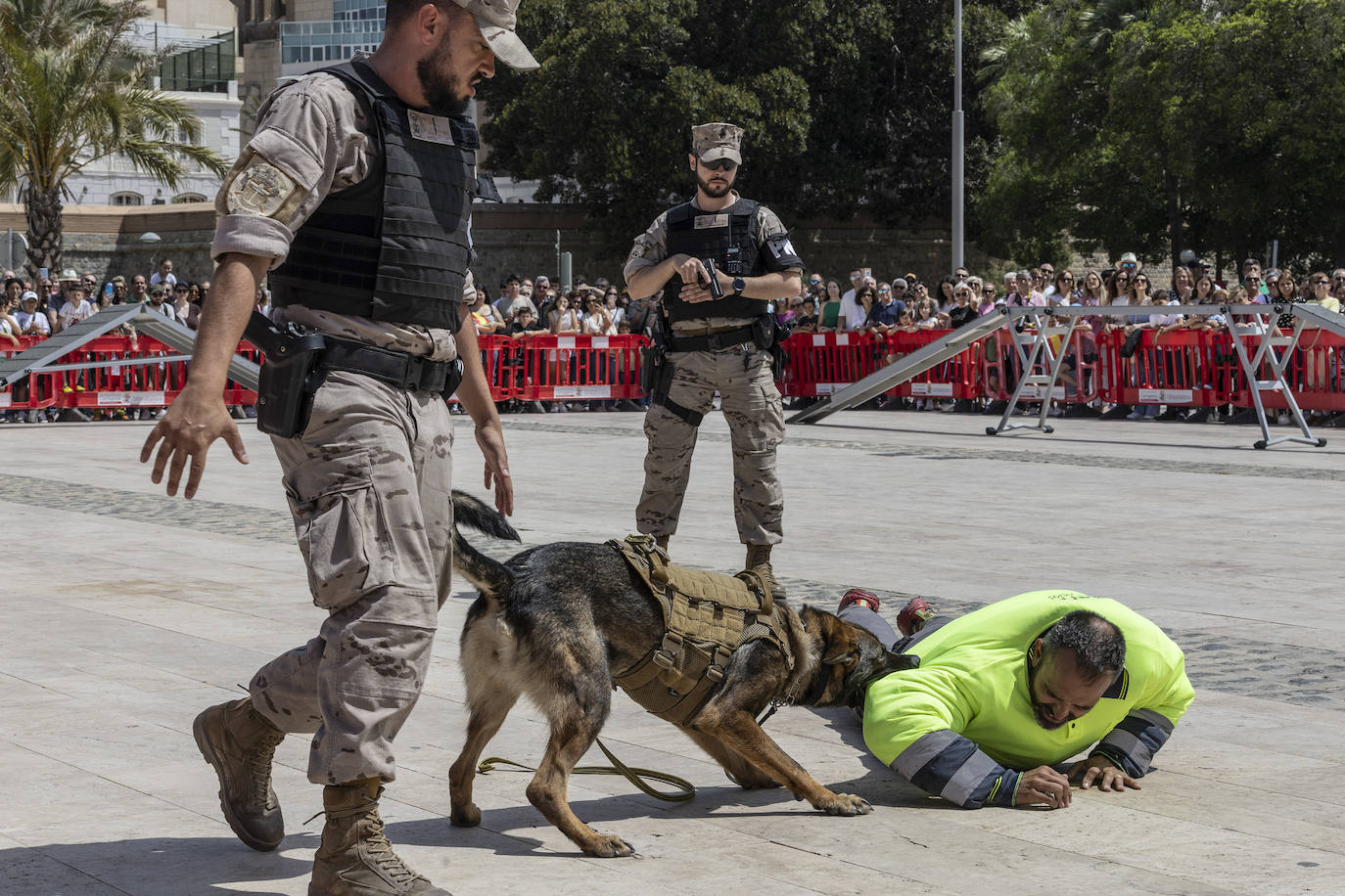 El Día de las Fuerzas Armadas este sábado en Cartagena, en imágenes