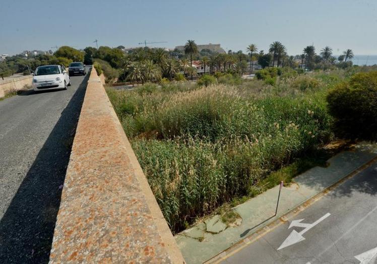 La desembocadura del río Nacimiento invadida por la maleza, vista de lo alto del puente 'romano' de Campoamor.