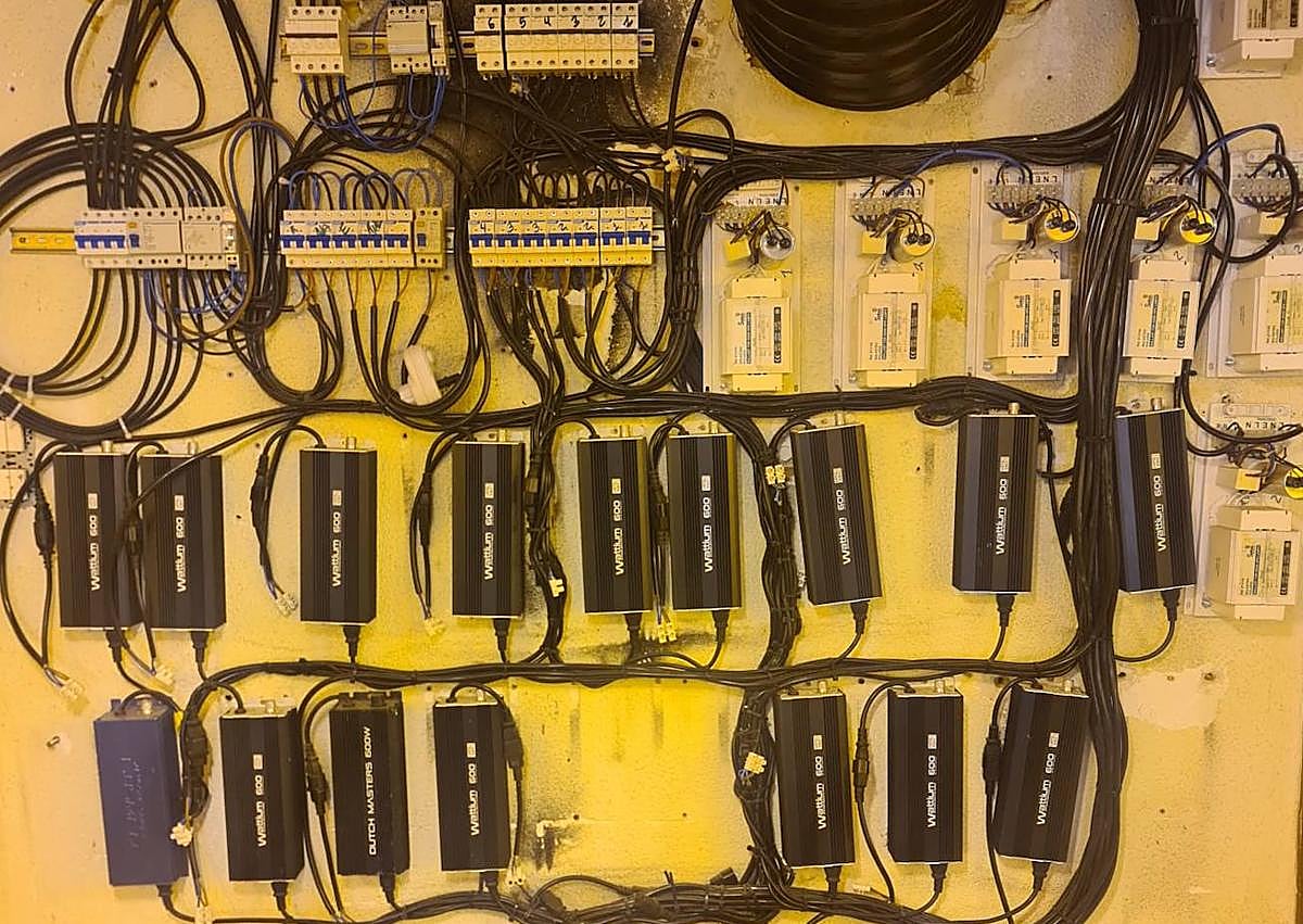 Imagen secundaria 1 - Requisan casi 500 plantas de &#039;maría&#039; en distintos inmuebles de Mula