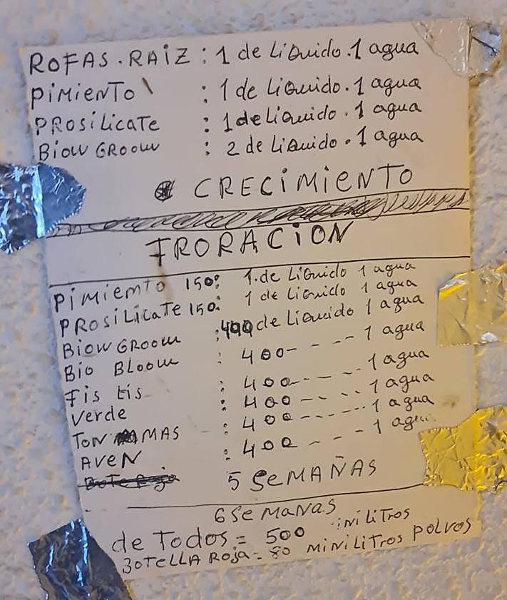Imagen secundaria 2 - Requisan casi 500 plantas de &#039;maría&#039; en distintos inmuebles de Mula