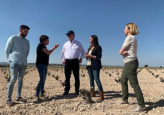 El candidato Pascual de la Parte (centro) y la consejera Rubira (2d) visitan viñedos de Jumilla, este miércoles.