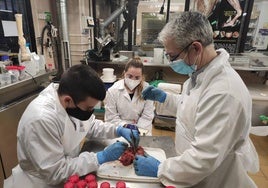 Tres investigadores del proyecto Marfarisk de la Universidad de Murcia analizan la muestra de tejido de un cetáceo.