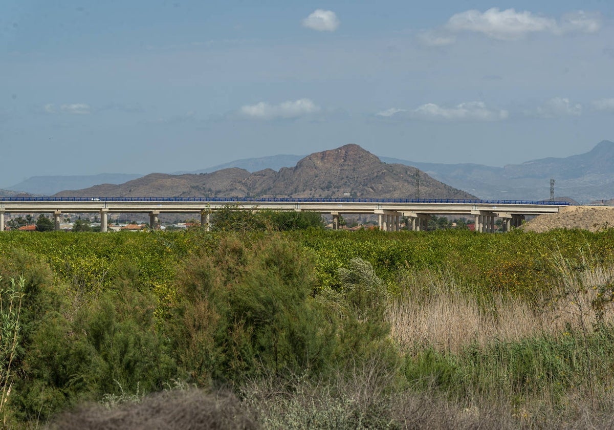 Finca de limoneros cerca de la rambla de Tabala, entre Los Ramos y Zeneta. Al fondo, línea del AVE.