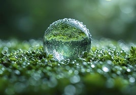 Los retos de la transición energética, en el III Encuentro de Hidrógeno