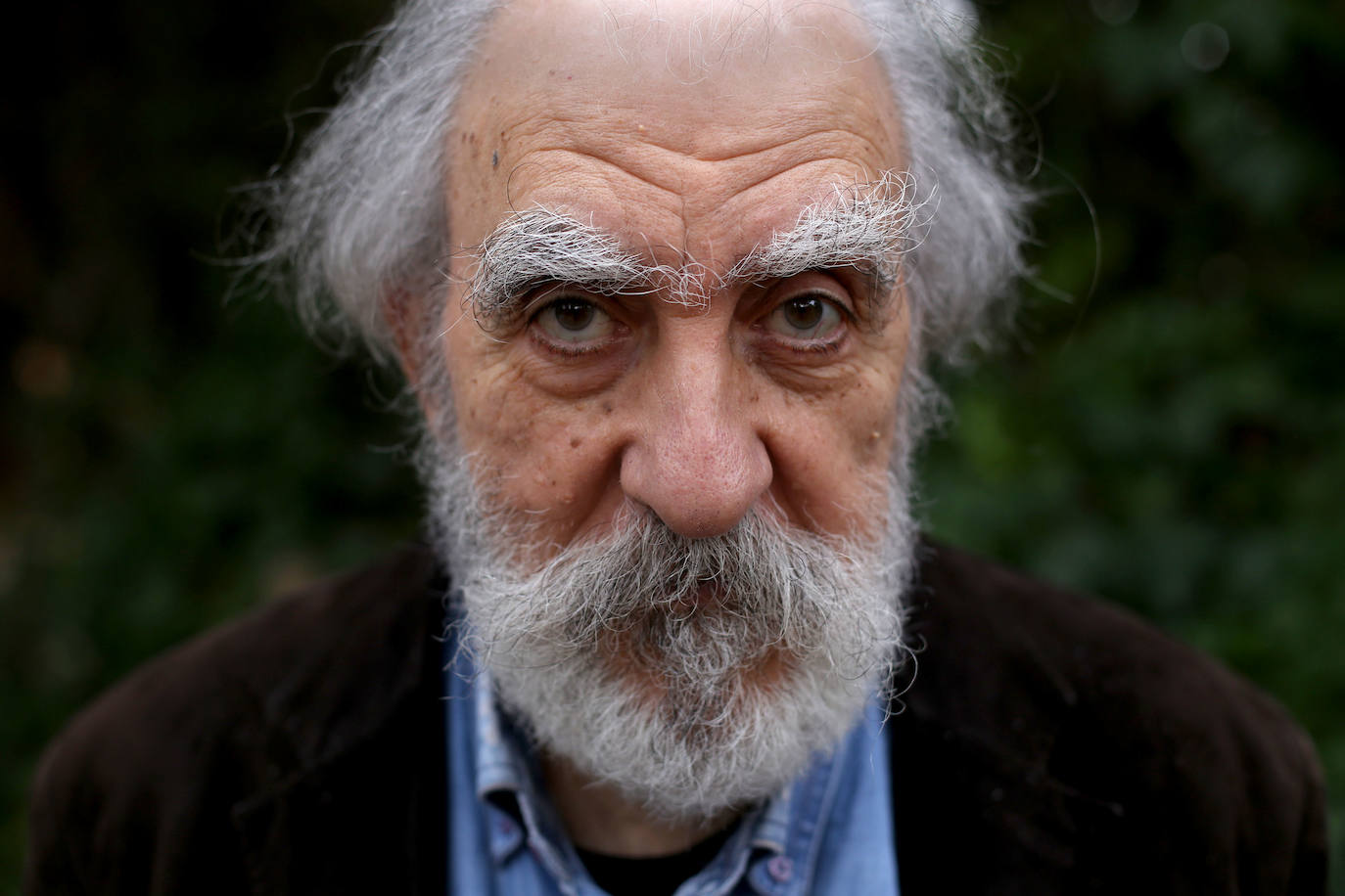 El arquitecto, pintor y diseñador gráfico Vicente Martínez Gadea