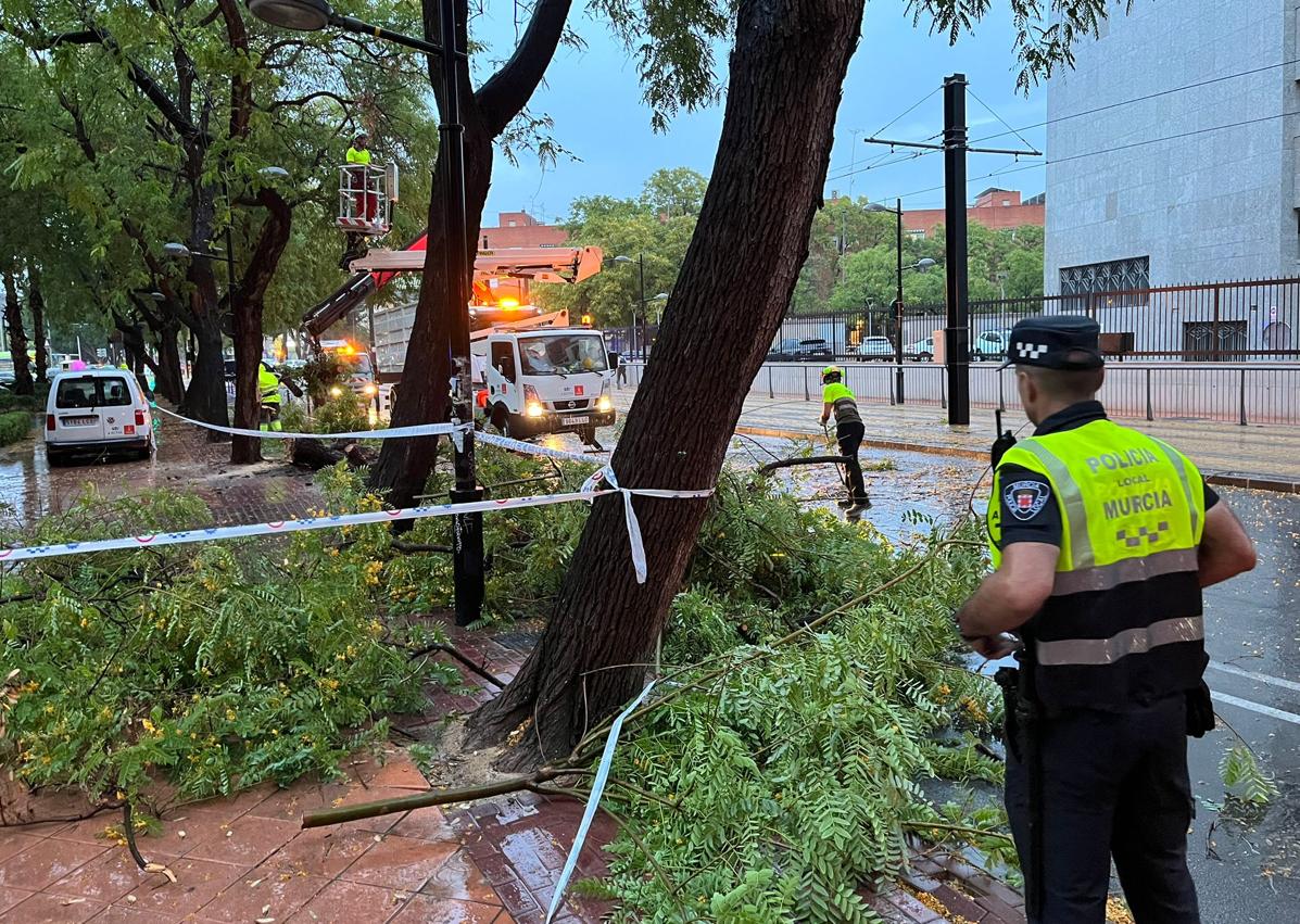 Imagen secundaria 1 - Retiran un árbol caído en la avenida de La Flota. A la derecha, un conductor atrapado en el túnel de Senda de Granada.