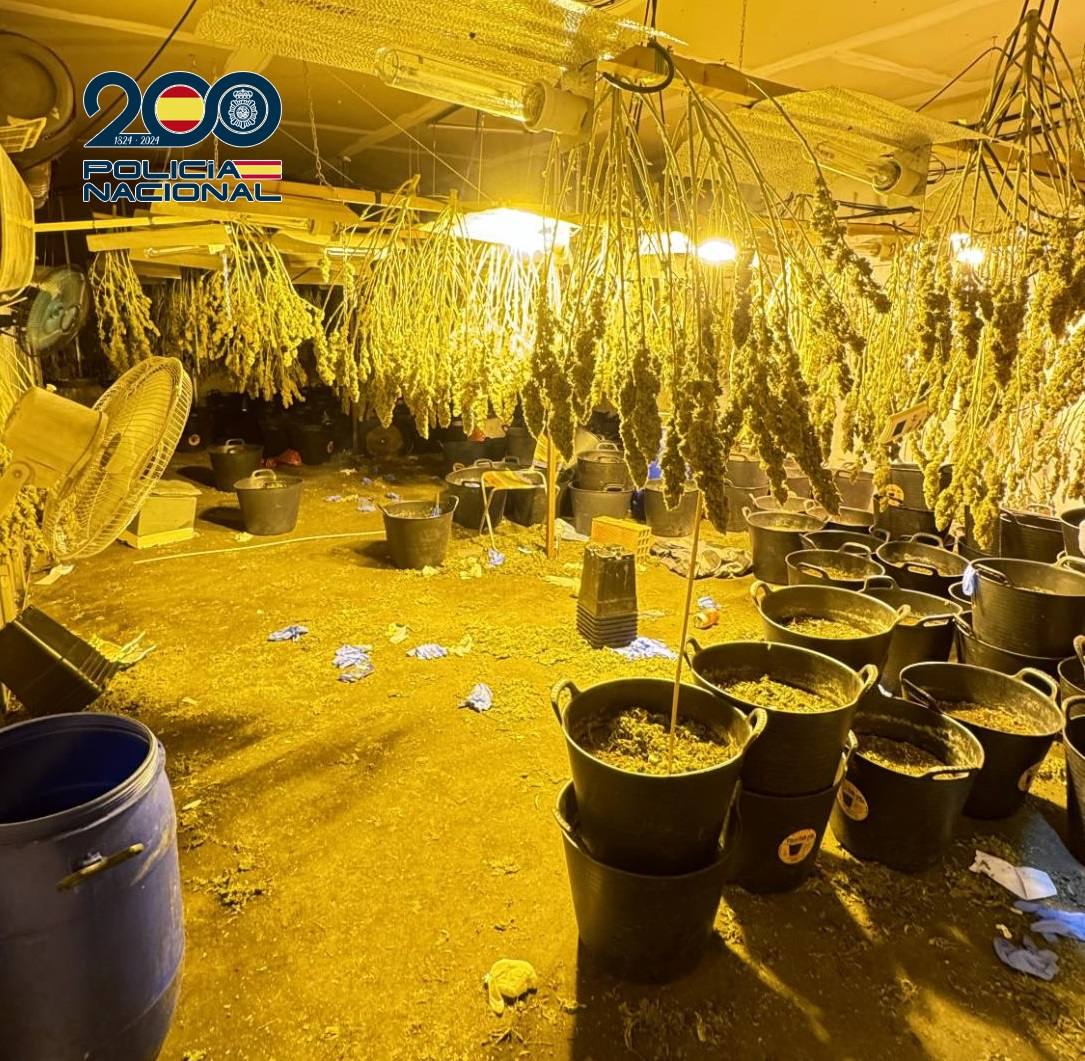 Parte de la nave de Los Dolores utilizada para secar las plantas de marihuana.