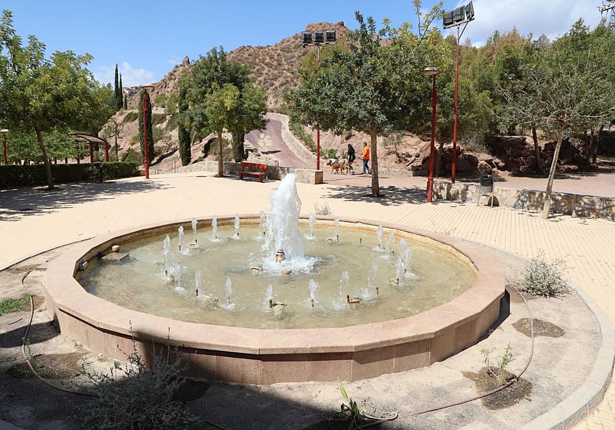 Plantas secas junto a la fuente del parque, ayer.