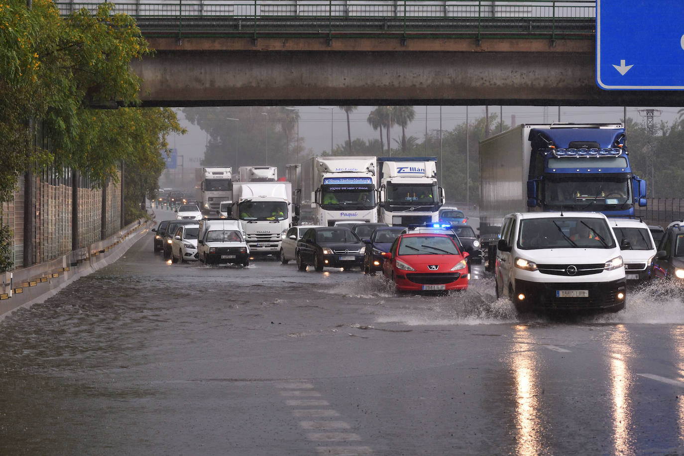 Las inundaciones por la lluvia en Murcia, en imágenes