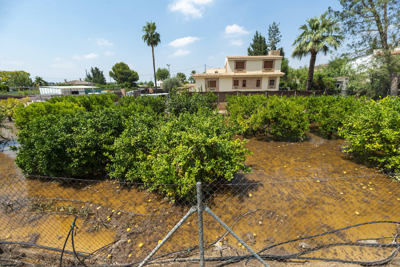 Las imágenes de los destrozos de la riada en Ribera de Molina