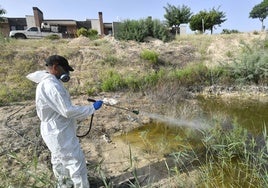 Un operario fumiga una charca en Molina de Segura.