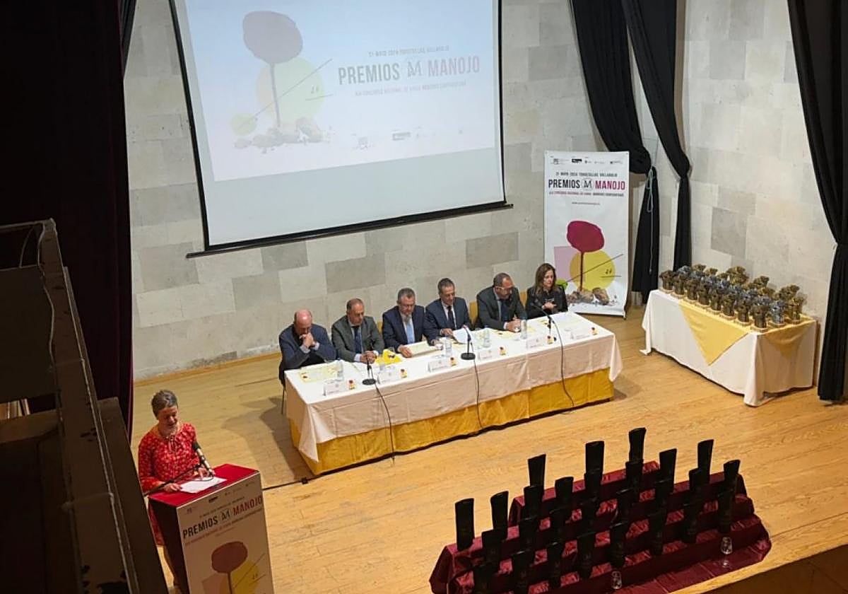 Momento de la XIX Edición de los galardones.