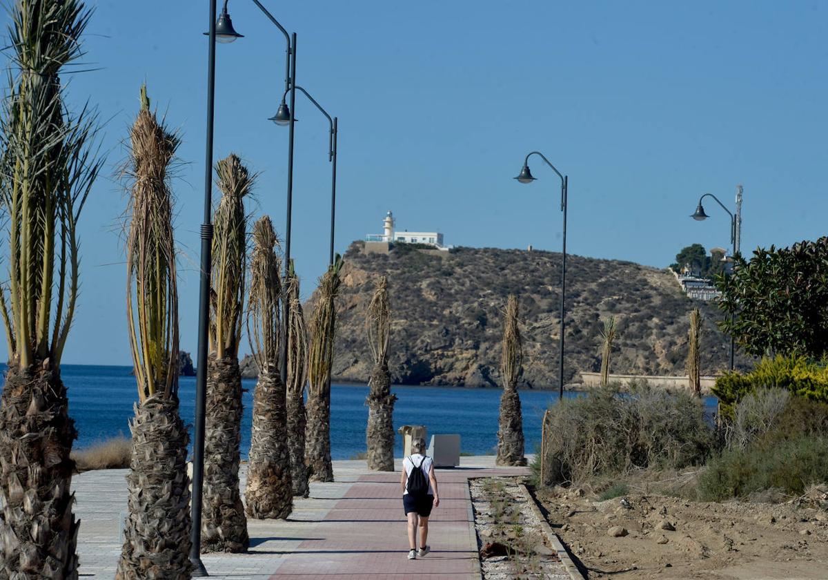 Nuevo paseo junto al mar en El Alamillo (Puerto de Mazarrón).