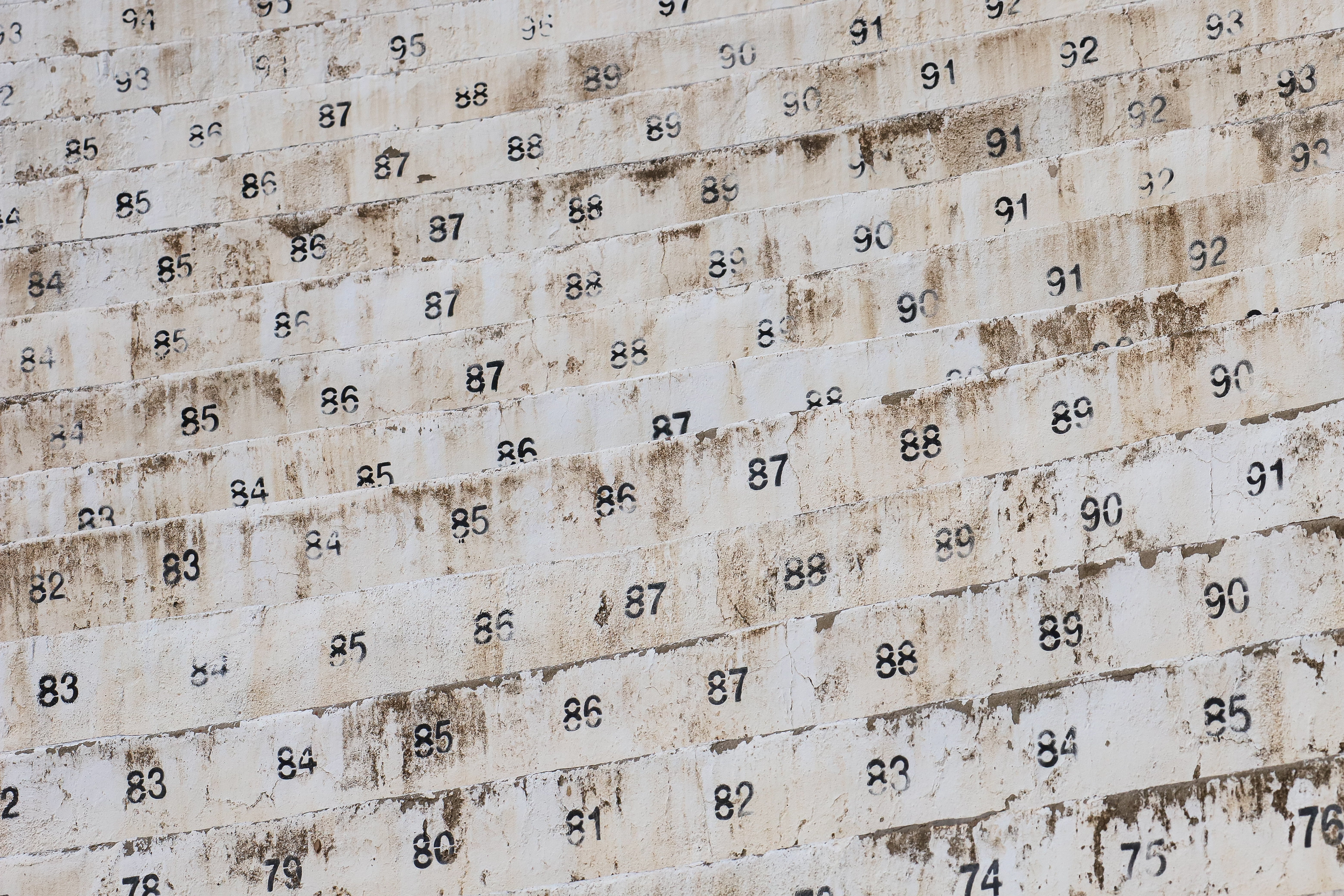 Imágenes de la Gran novillada en Cehegín