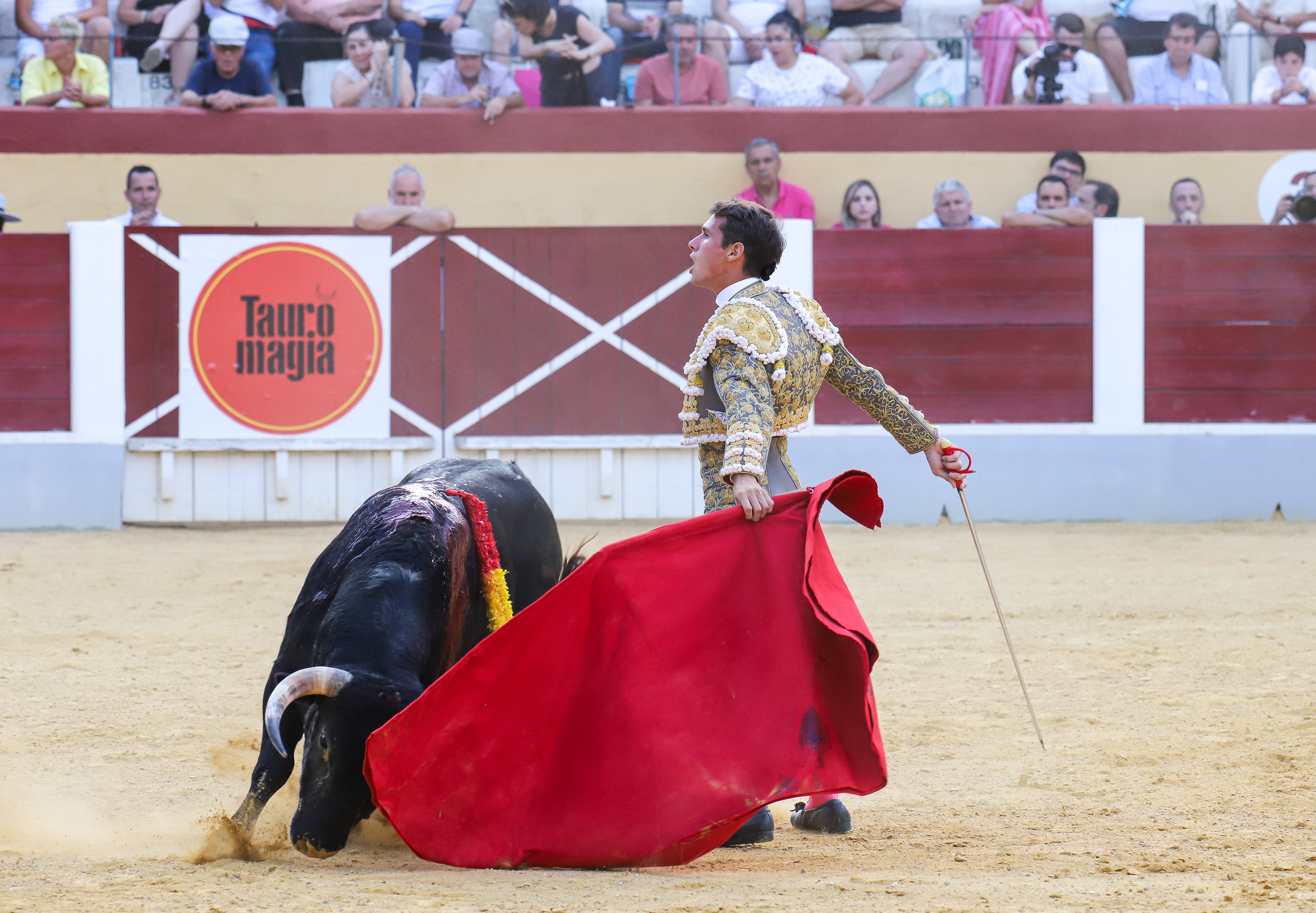 Imágenes de la Gran novillada en Cehegín