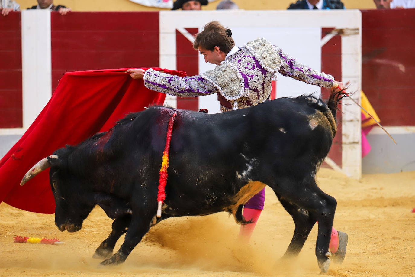 Imágenes de la Gran novillada en Cehegín