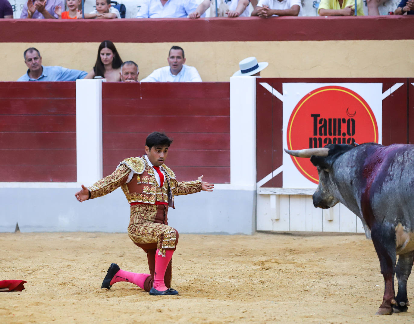 Imágenes de la Gran novillada en Cehegín
