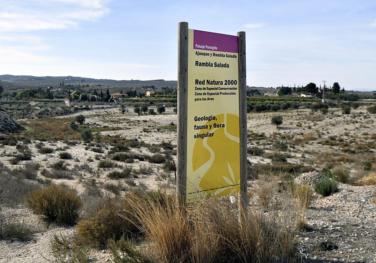 Panorámica del Paisaje Protegido de Ajauque y Rambla Salada, con un cartel informativo en primer término, en el municipio de Fortuna.