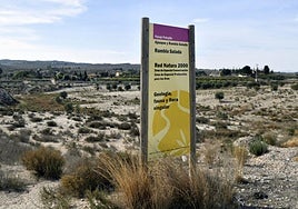 Panorámica del Paisaje Protegido de Ajauque y Rambla Salada, con un cartel informativo en primer término, en el municipio de Fortuna.