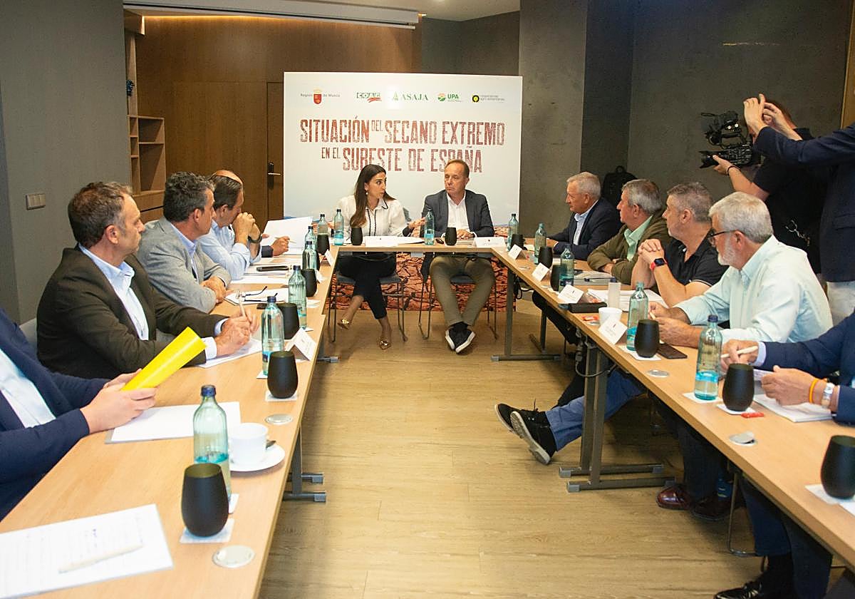 Las organizaciones agrarias COAG, Asaja y UPA, junto a las cooperativas españolas, reunidas este lunes con la consejera de Agricultura de Murcia, Sara Rubira, en Madrid.