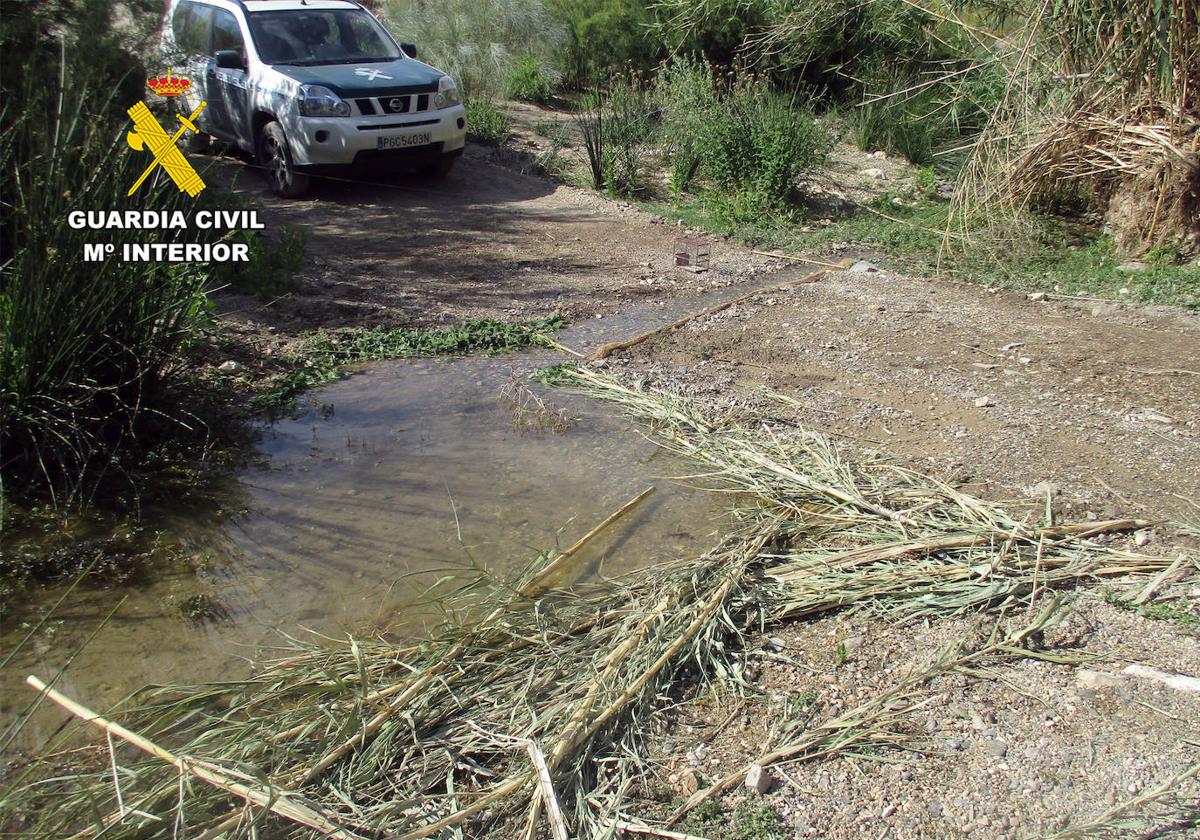 Modificación del cauce del río y la jaula para capturar a las aves.