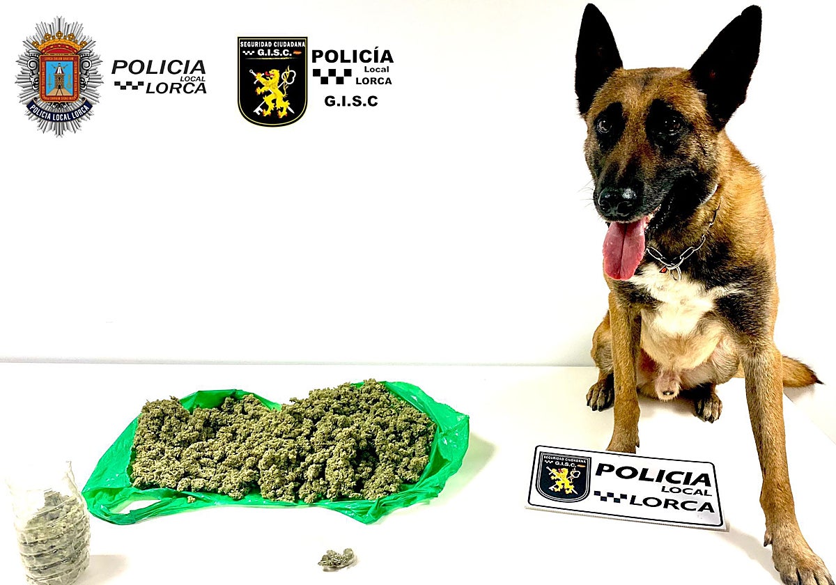 El perro de la unidad canina de la Policía Local junto al alijo de marihuana.