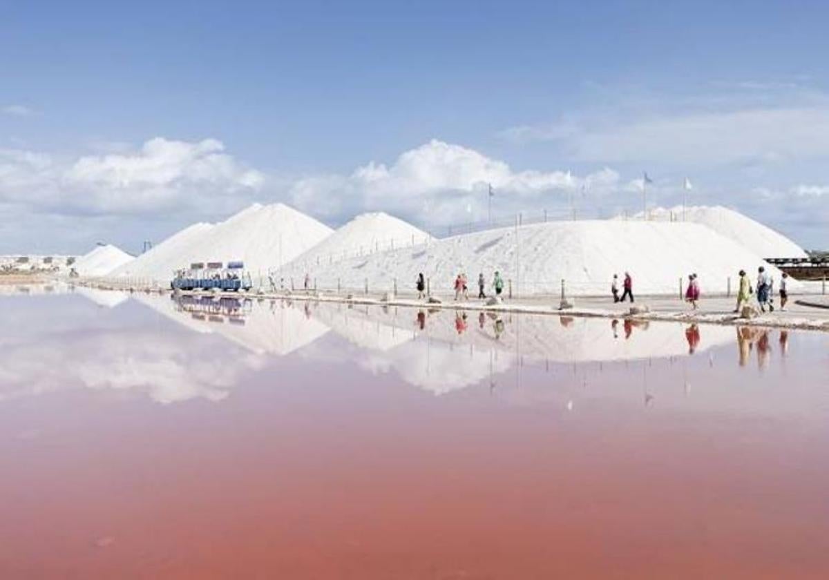 Visita guiada por las montañas de sal junto a una laguna con el color rosáceo tan característico.