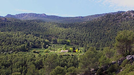 La nueva Ley Forestal ordenará medio millón de hectáreas de montes públicos y privados en la Región de Murcia