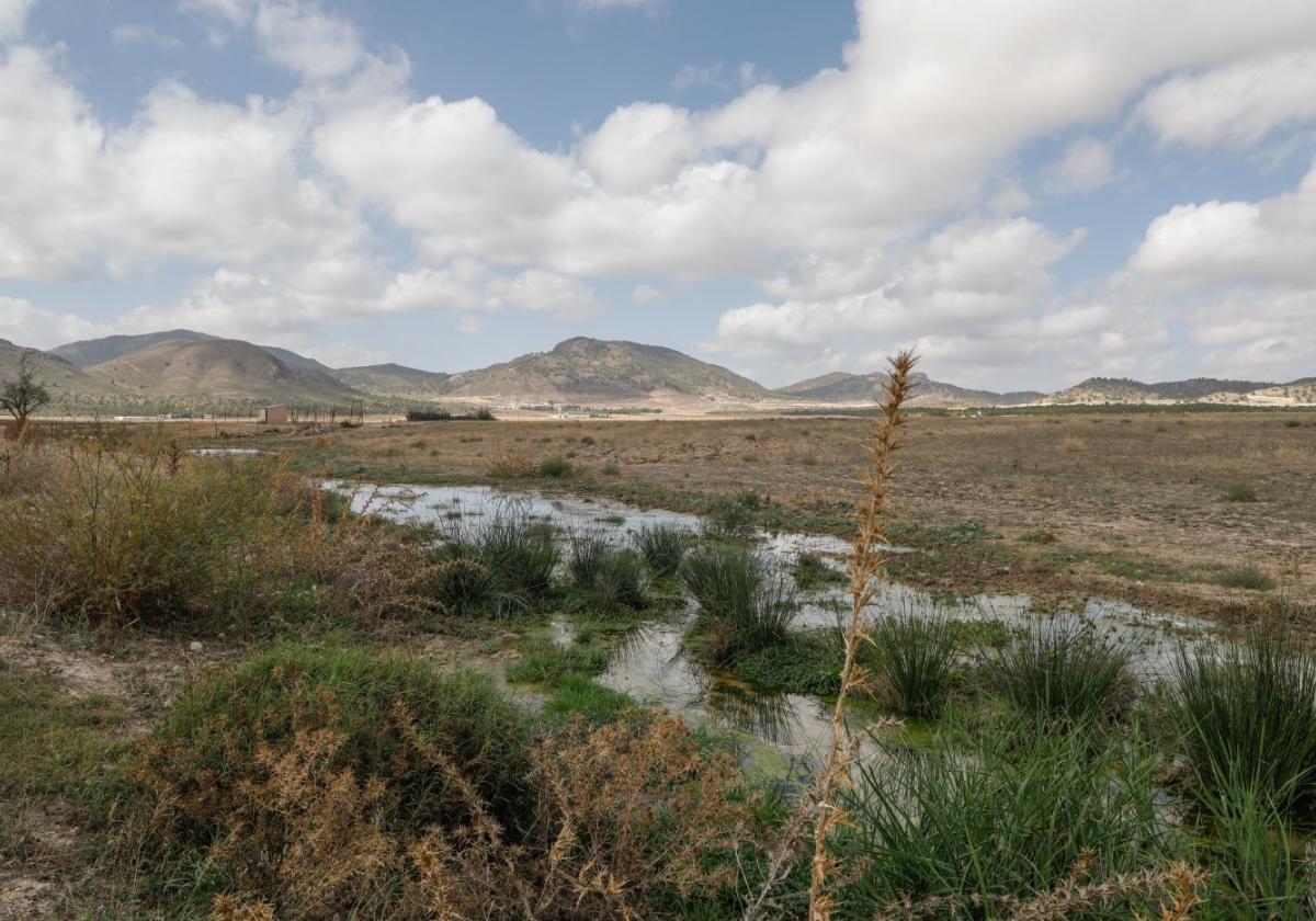 Río Turrilla, en Zarcilla de Ramos, en septiembre de 2023.