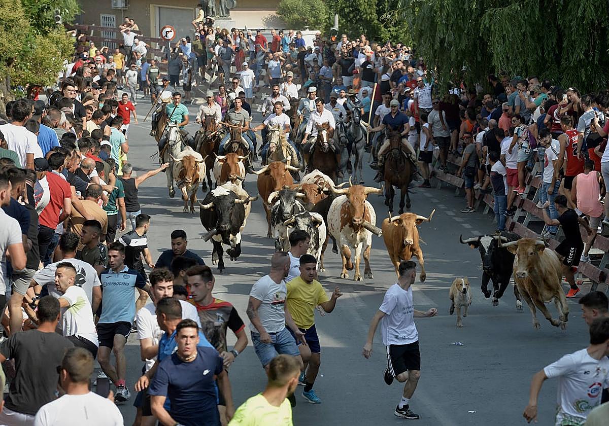 Imagen de archivo de un encierro en Moratalla.