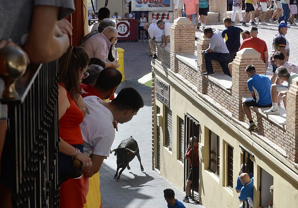 El primer encierro de Moratalla, en imágenes