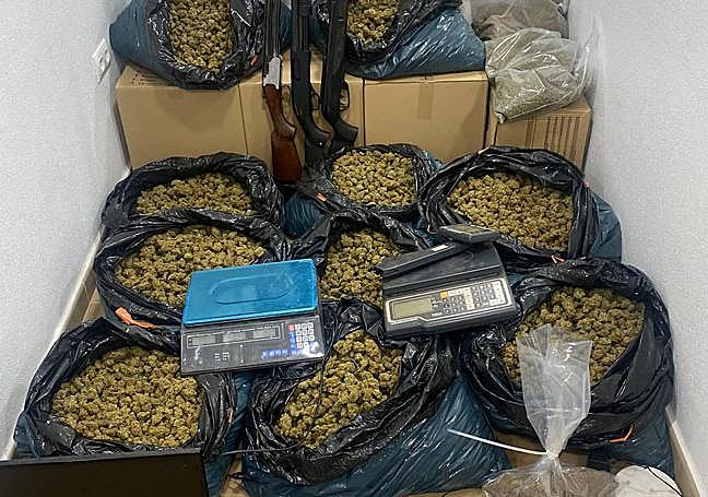 Cogollos de marihuana y armas.