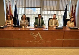 Comparecencia de la consejera de Política Social, Familias e Igualdad, Conchita Ruiz Caballero, ante la Comisión Especial de Estudio sobre Infancia y Adolescencia.