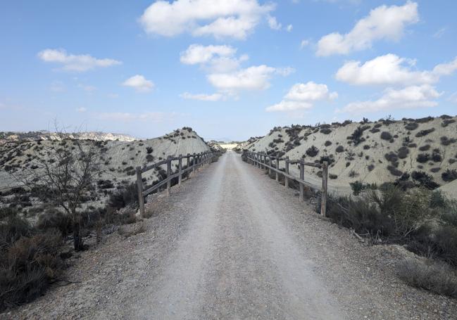 Sendero de Alguazas.