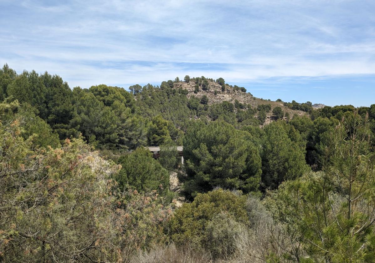 Imagen principal - Panorámica del paisaje de montaña y antiguo apeadero de La Luz, junto al viaducto del Río Mula. Abajo a la derecha, un lagarto avistado en los campos de viñedos cercanos a Bullas.