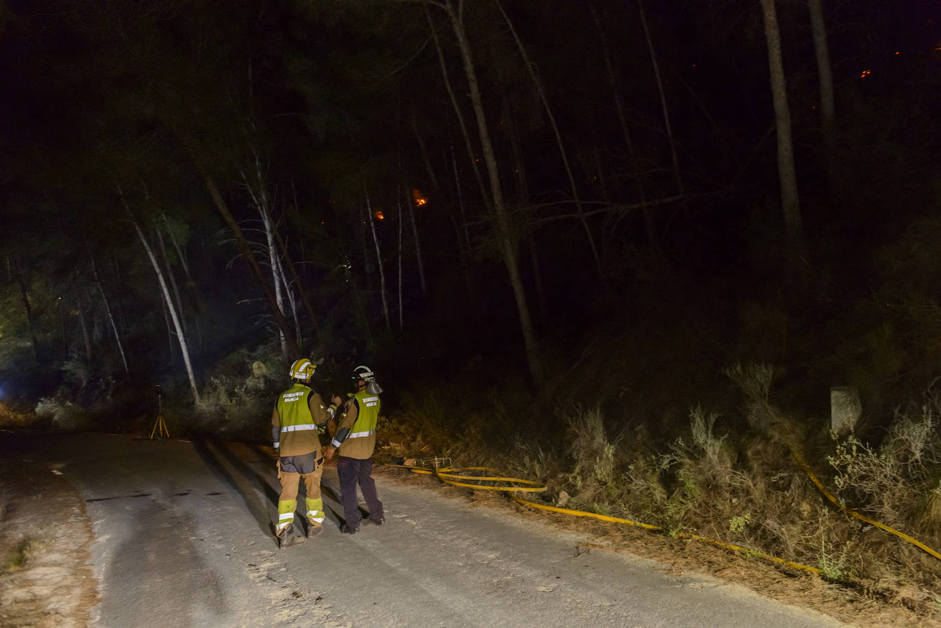Un incendio en la sierra de Altaona alarma a los vecinos de Murcia