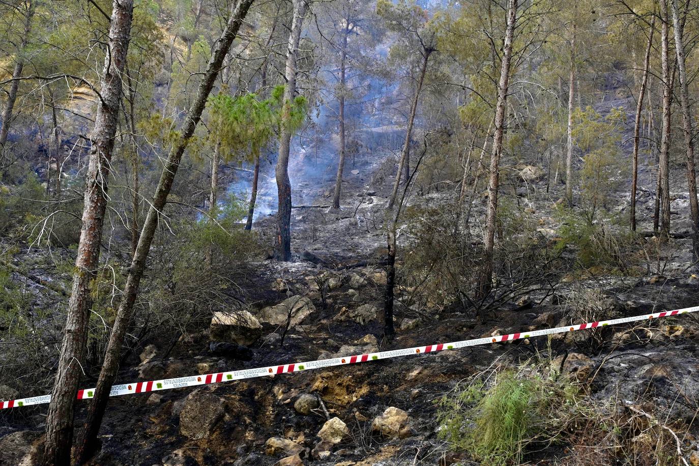 Un incendio en la sierra de Altaona alarma a los vecinos de Murcia