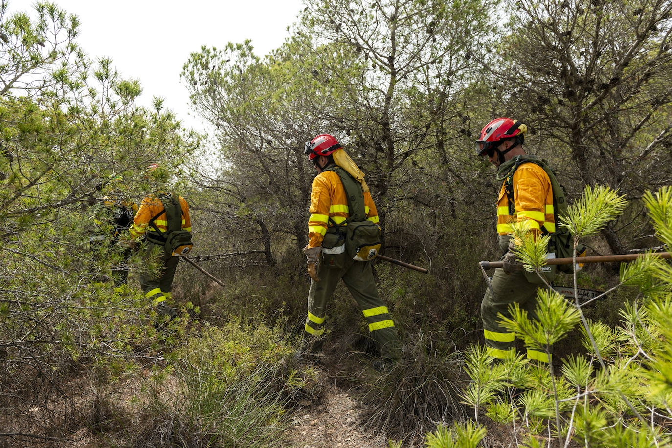 Un incendio en la sierra de Altaona alarma a los vecinos de Murcia