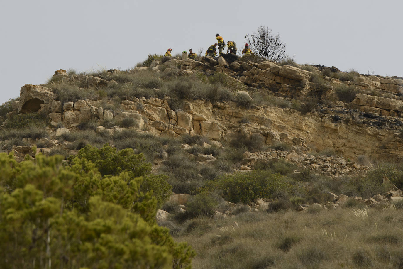 Un incendio en la sierra de Altaona alarma a los vecinos de Murcia